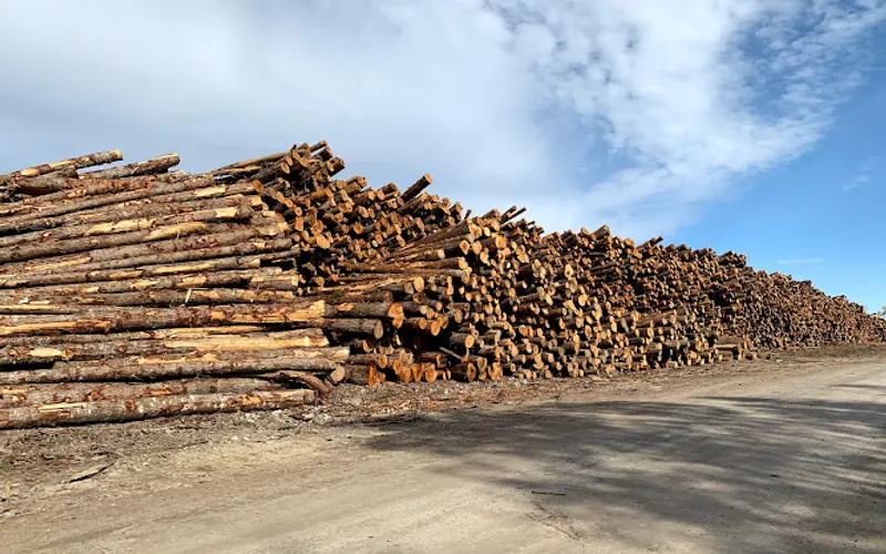 Northland Bark Mulch Co — Mulch supplier