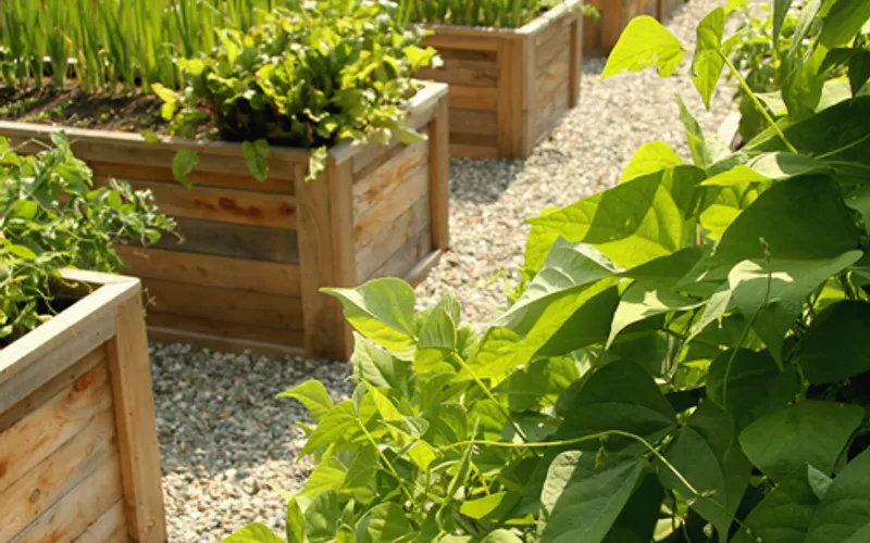 Green Mountain Compost — Garden center