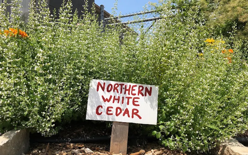 Kern Landscape Resources — Landscaping supply store