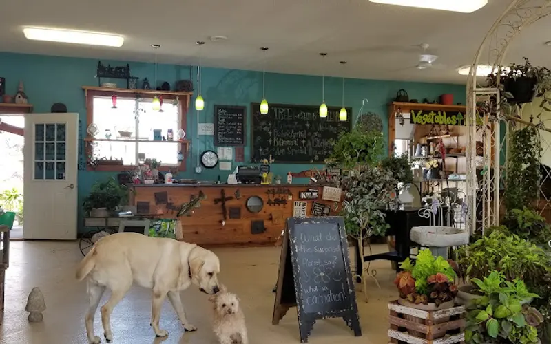 Midland Nursery Inc — Garden center
