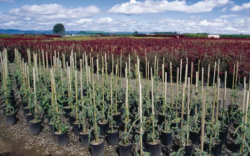 Pro-Gro Mixes & Materials — Landscaping supply store
