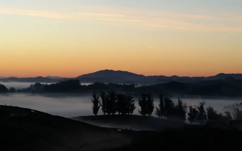 Sonoma Compost Company — Topsoil supplier