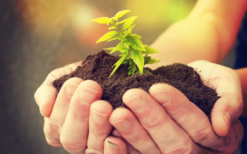 Rocky Ridge Rock, Inc. — Landscaping supply store