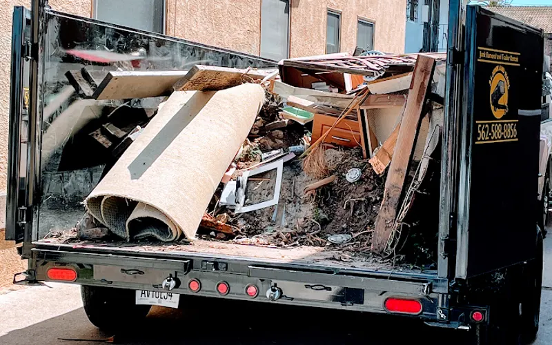 A1 Junk and Haul — Debris removal service