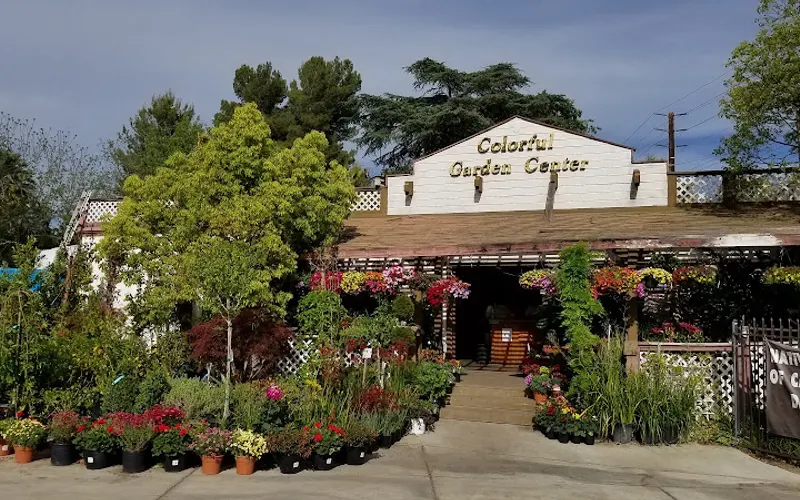 Colorful Garden Center — Garden center