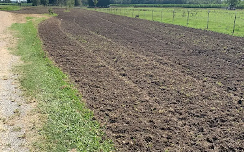 LAFAYETTE DIRT, SAND, AND GRAVEL — Sand & gravel supplier