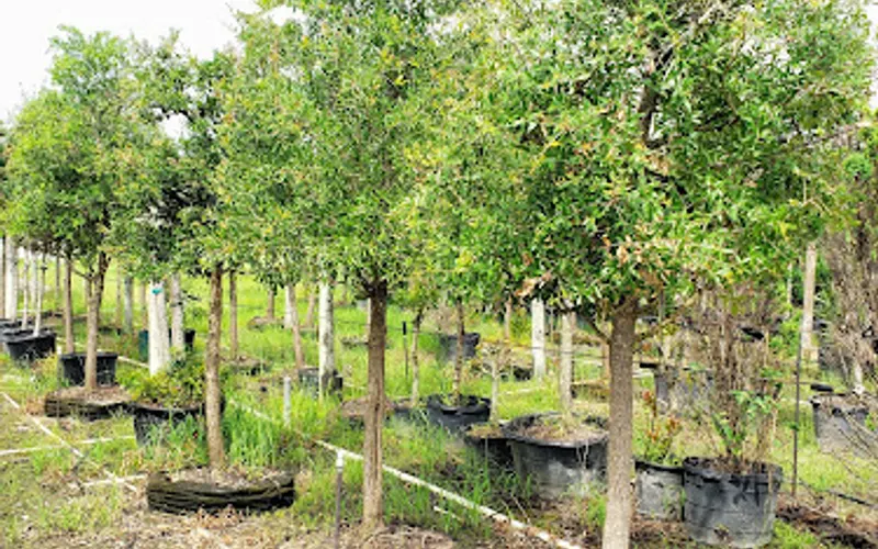 Estradas Garden Center — Garden center