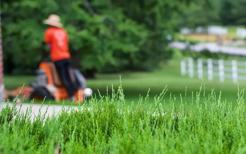 IAMco — Lawn care service