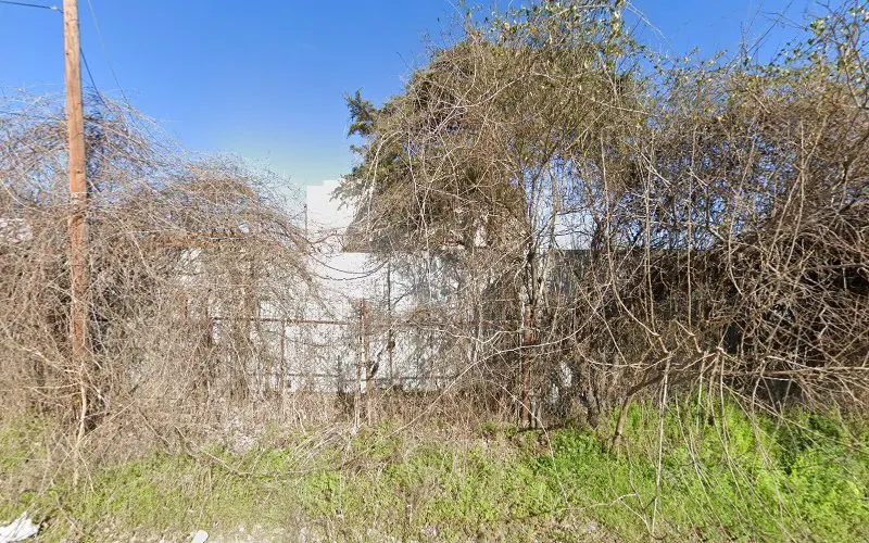 Central Tree Farm — Tree farm