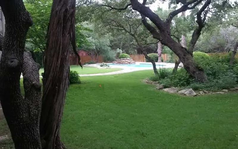 Buzy Bee'z Lawn & Treez — Landscaper