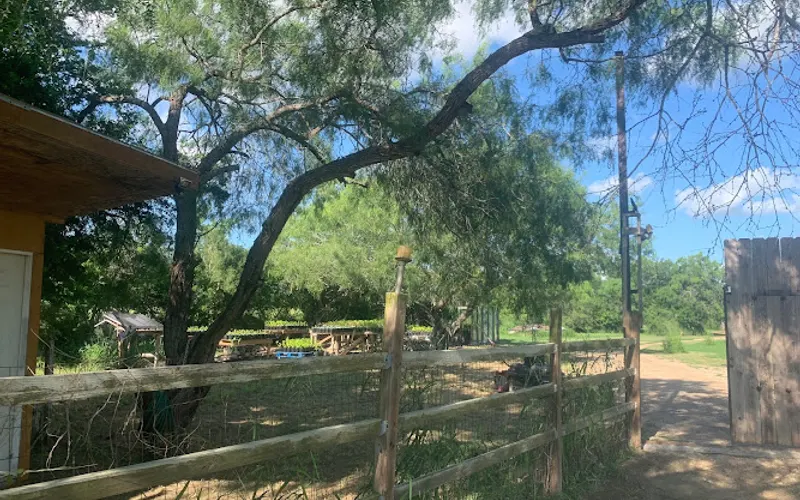 Green Lima Farm & Nursery — Plant nursery