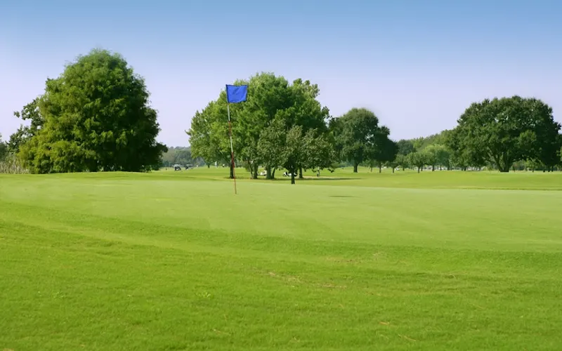 Hydromulch of Texas — Mulch supplier