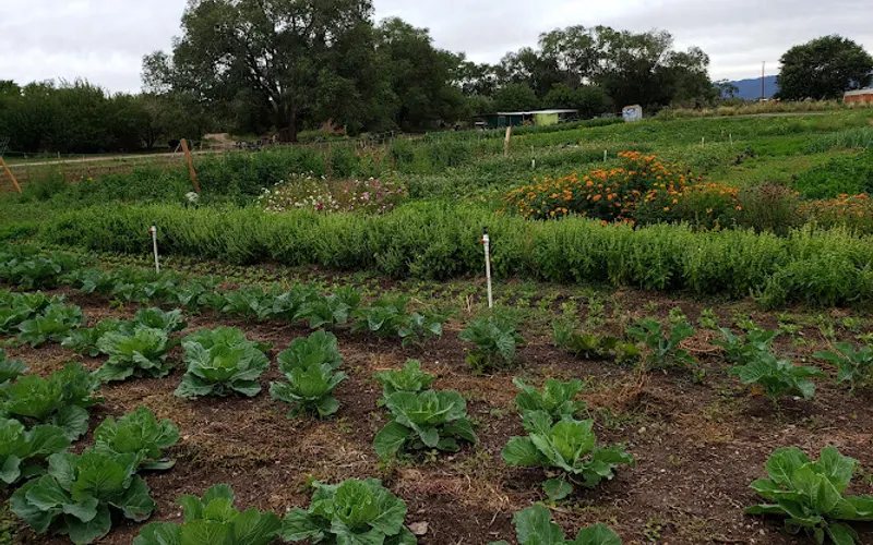 Reunity Resources Farm Stand and Soil Yard — Farm