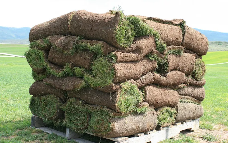 Rivendell Distribution, Inc. — Landscaping supply store