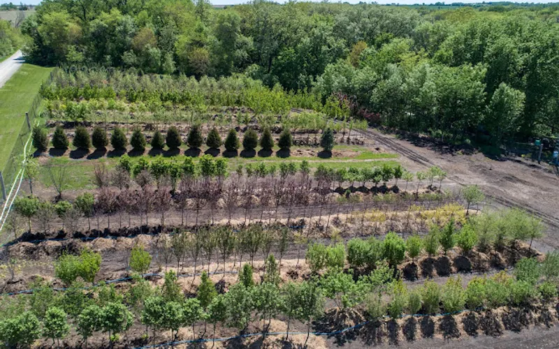 Landmark Nursery and Landscapes — Plant nursery