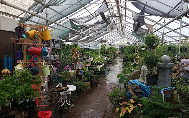 Jackson's Greenhouse & Garden Center, Inc. — Plant nursery