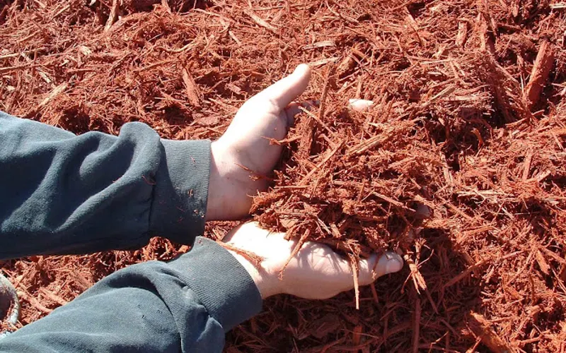 Missouri Organic Recycling — Recycling center