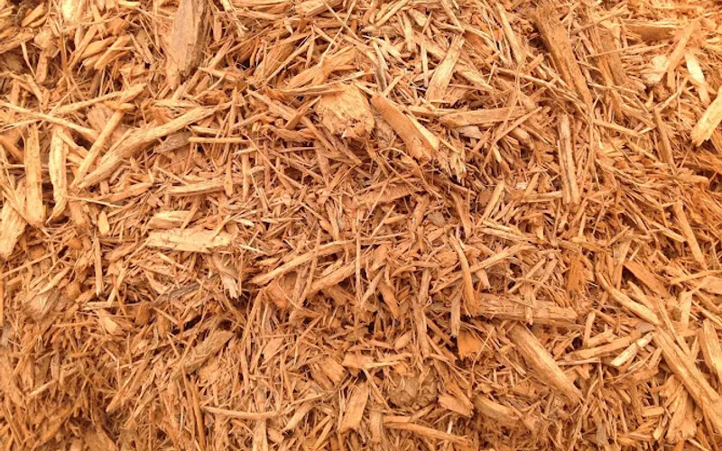 N & M Services — Topsoil supplier