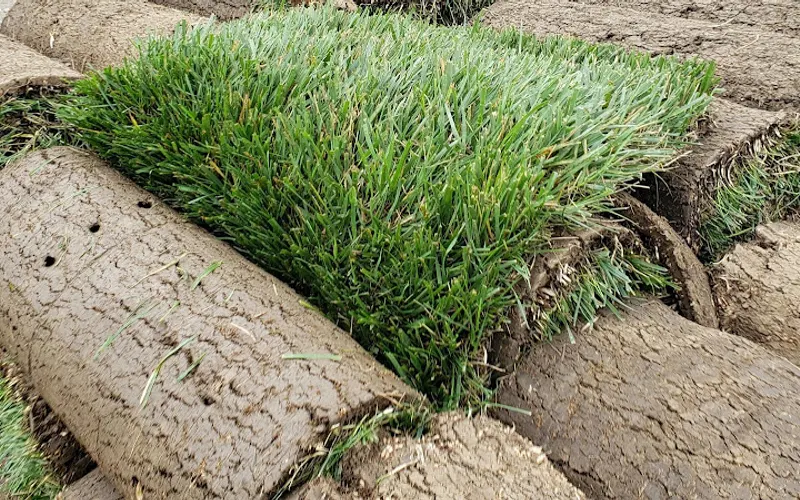 Mid America Turf & Landscaping — Sod supplier