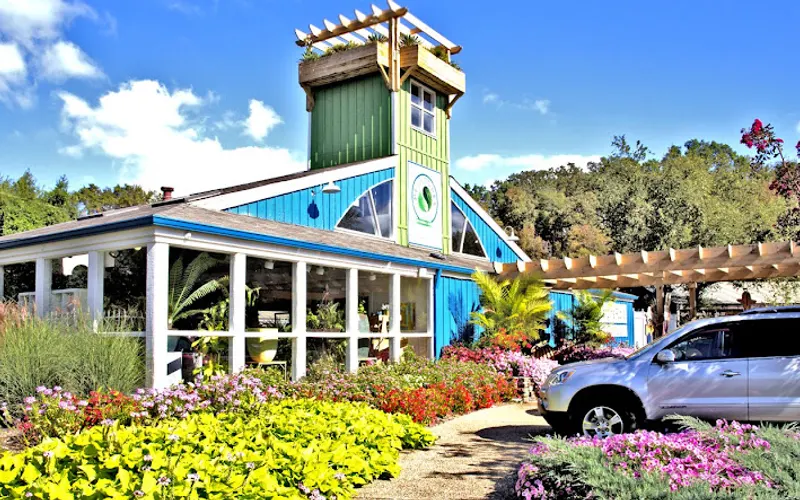 Plantopia Home and Garden — Plant nursery