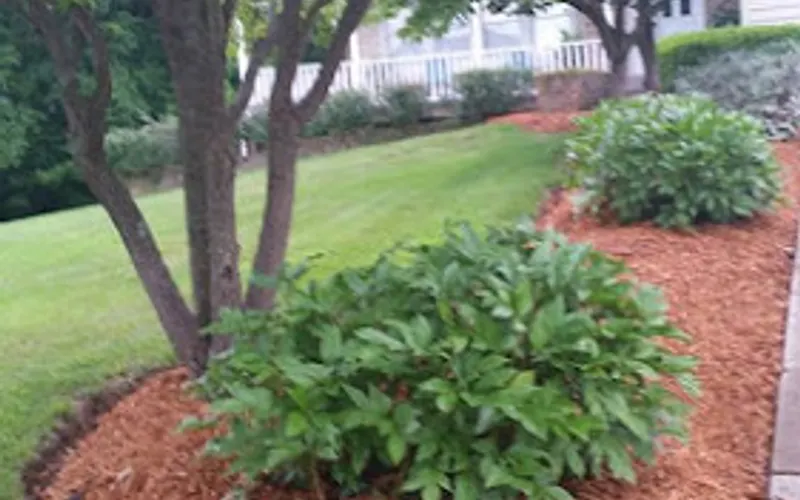 Mulch Outlet — Mulch supplier