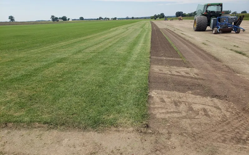 Kurtz Turf Farm LLC — Sod supplier