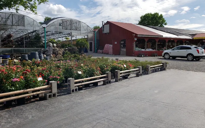 Daniel's Farm & Greenhouses — Greenhouse