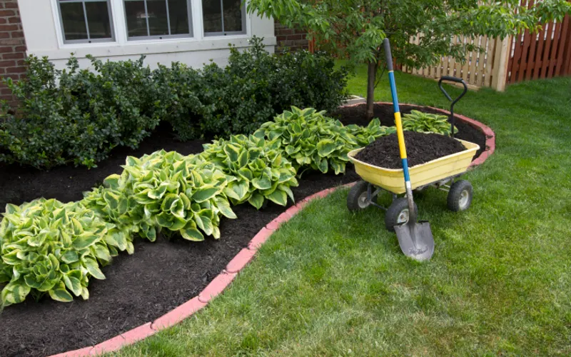 Best Buds & Gardening Center - Landscape Service Contractor in Middleton WI — Landscaper