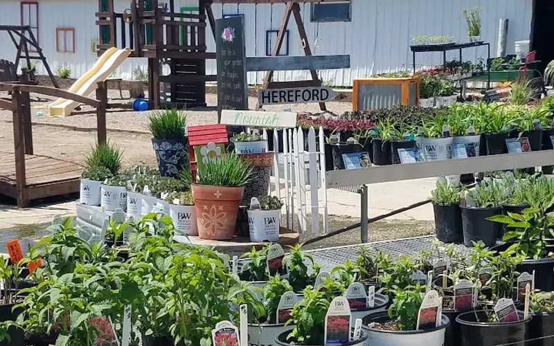Bauman Nursery & Landscaping LLC — Landscaper