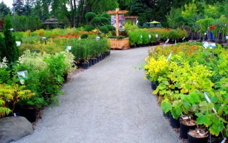 Green Bay Nursery, Inc. — Landscaper