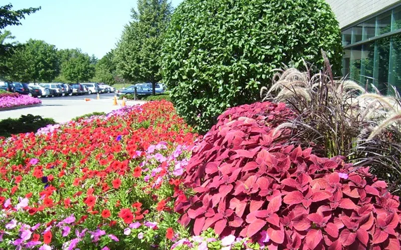 David J. Frank Landscape Contracting — Landscaper