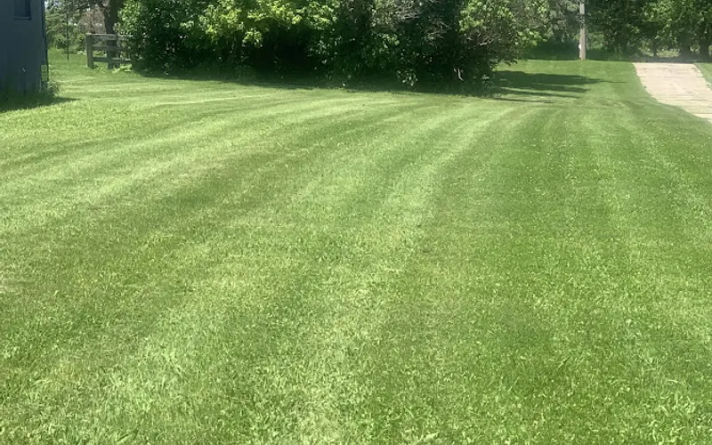 A & A LawnCare — Lawn care service