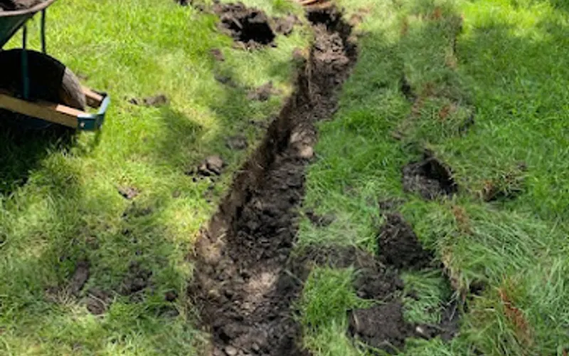 Hamm's Landscape Maintenance — Landscaper