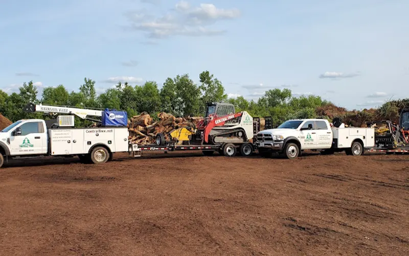 Central Tree — Mulch supplier