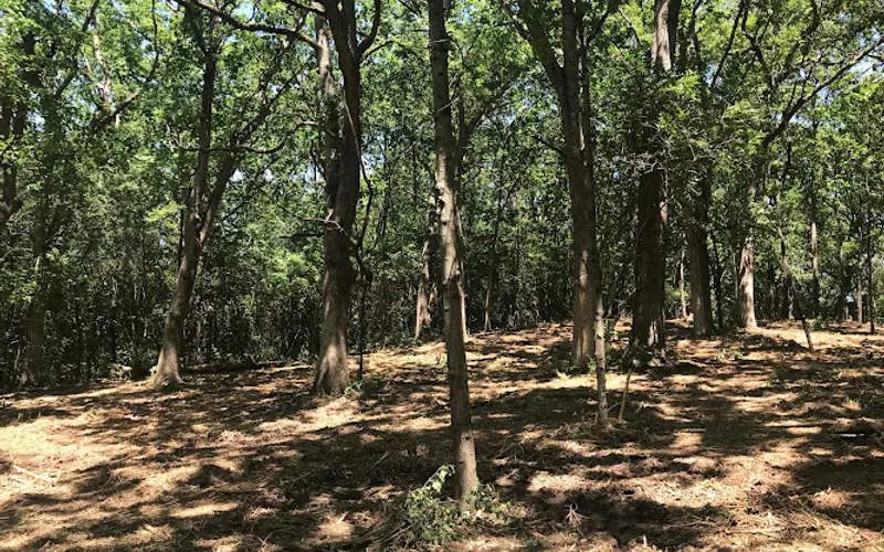 Trees Unlimited Inc — Landscaper