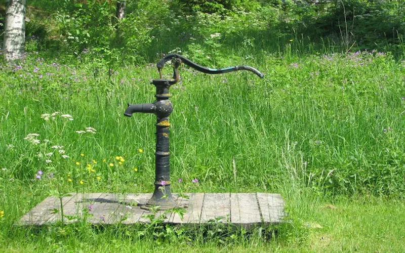 Best Lawn Care Services — Garbage collection service