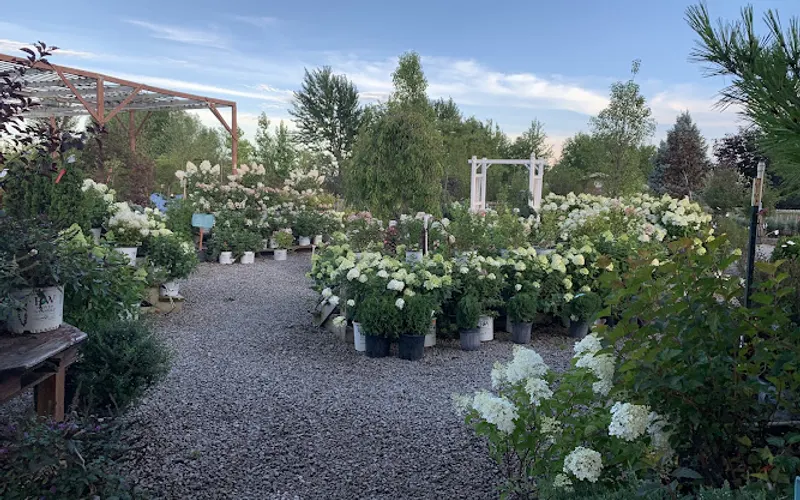 Broadview Landscaping & Nursery, Inc. — Plant nursery