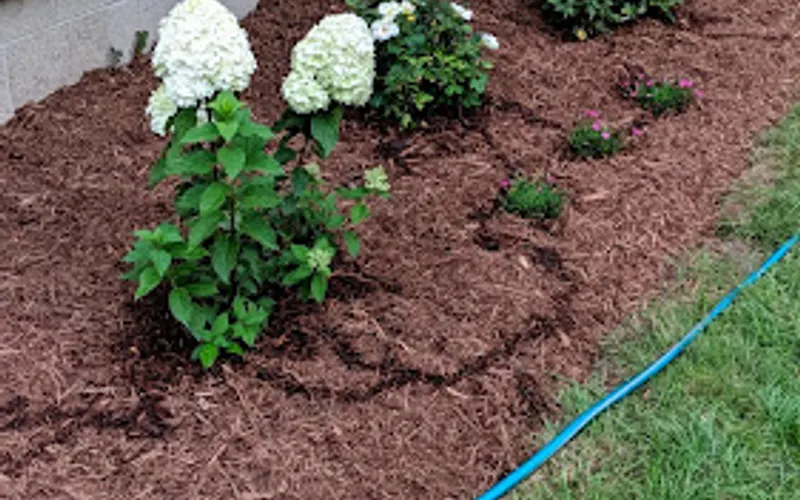 Chips Groundcover on Quincy — Landscaping supply store