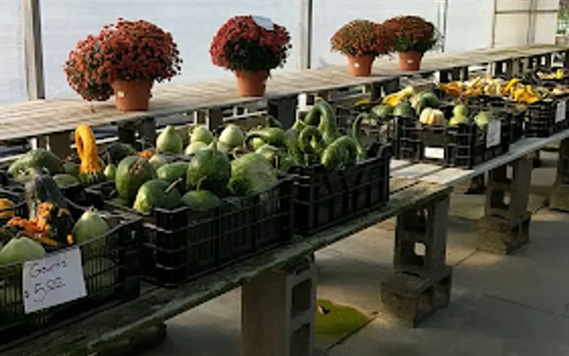Weesies Brothers Garden Centers & Landscaping — Garden center