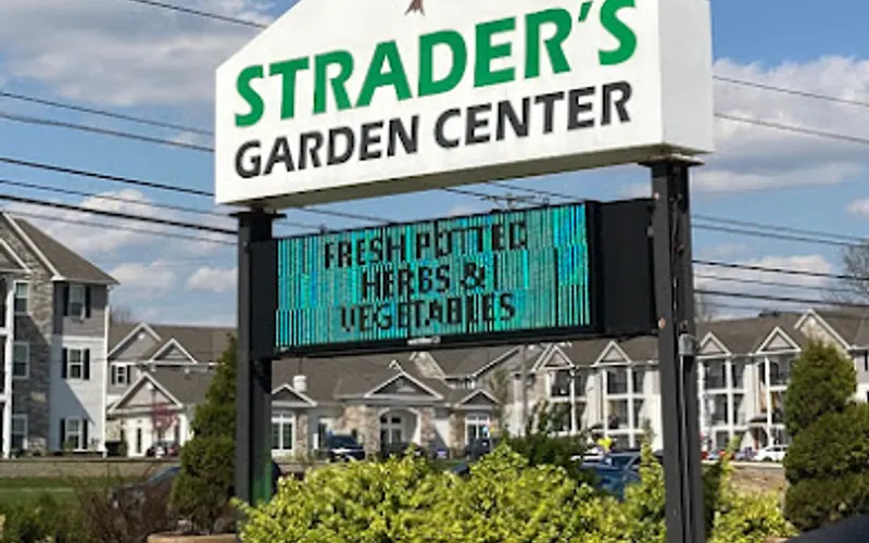 Strader's Garden Centers — Garden center