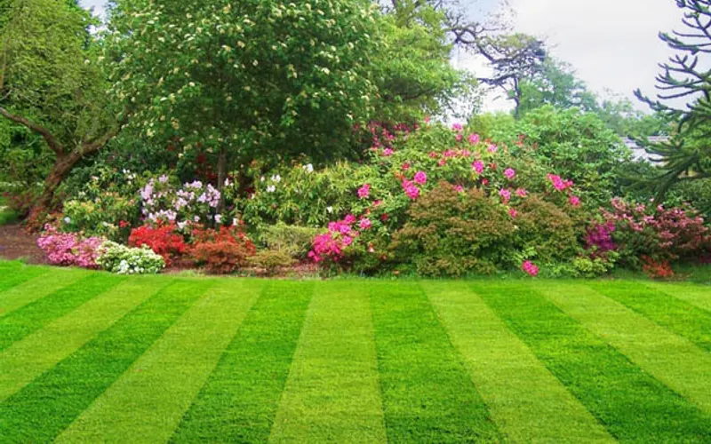 Hoffmans Lawn Care — Lawn care service