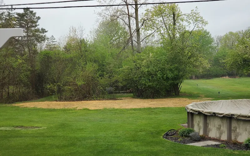 Phillips Landscaping — Landscape designer