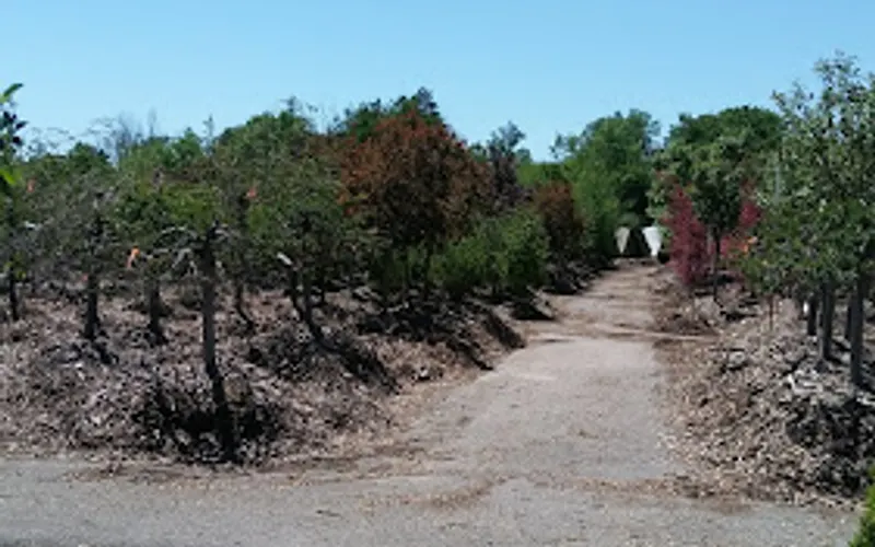 Lucas Nursery & Landscaping — Garden center