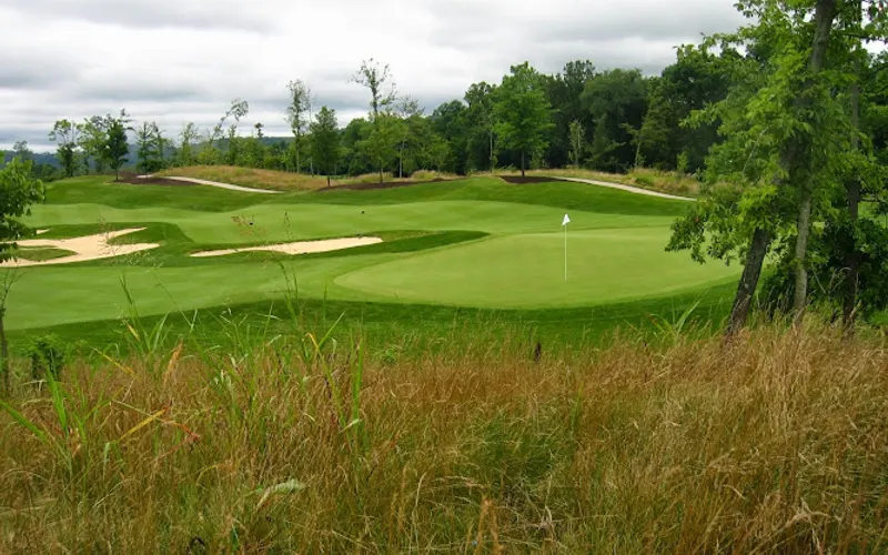 Alvis Materials — Mulch supplier