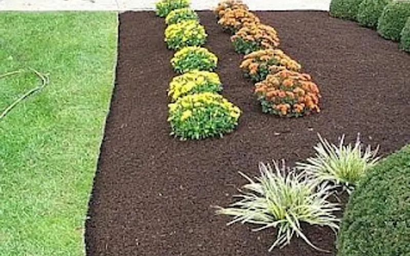 1-800-MULCH-PRO — Mulch supplier