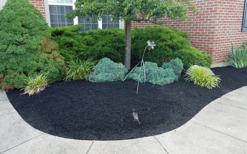 D2 Landscaping and Outdoor — Landscaper