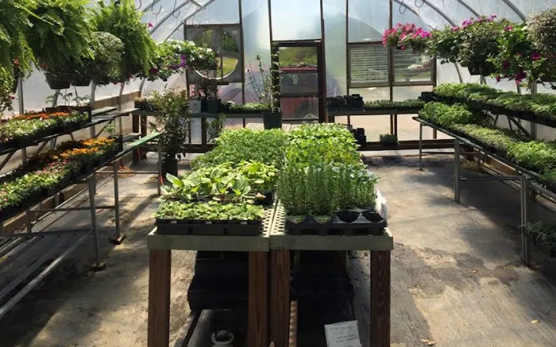 Peanuts Garden Center — Garden center