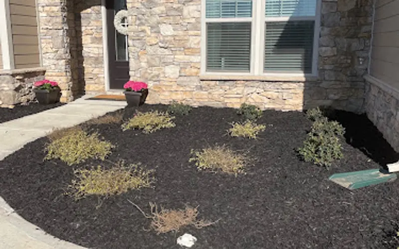 Mulching Masters — Mulch supplier