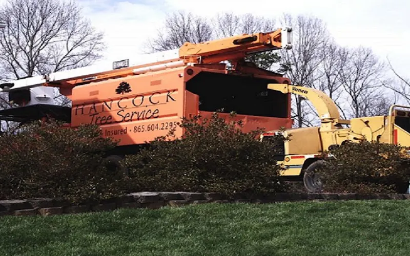 Hancock Tree Service — Tree service