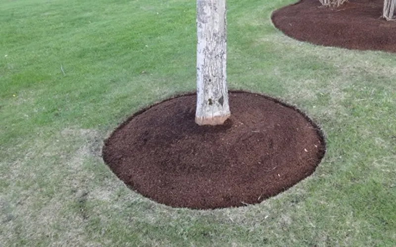 Roberts Lawn Care — Landscaper